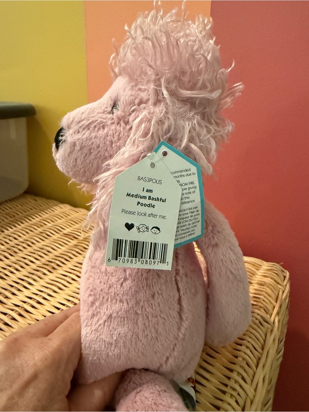 Jellycat Medium Bashful Poodle, Plush - Picture 4 of 4